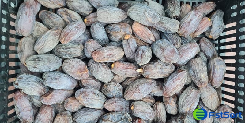 images/1697704339095date sorting machine line.jpg